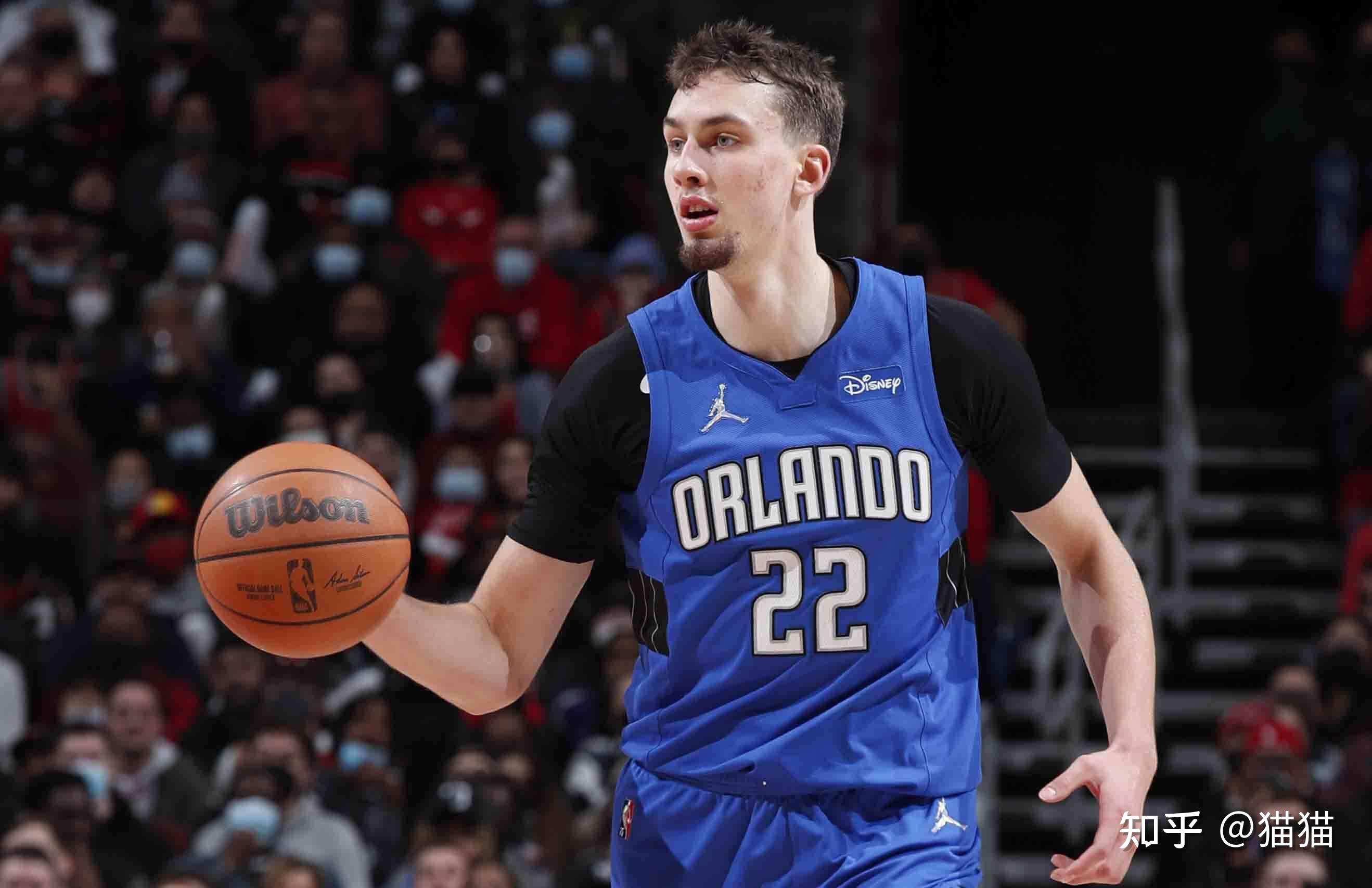 平分秋色 平分秋色